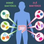 Probiotiká a obezita (vplyv mikrobiómu na telesnú hmotnosť)